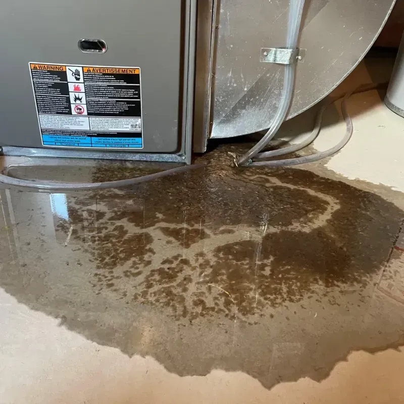 Appliance Leak Cleanup in Gibson County, IN